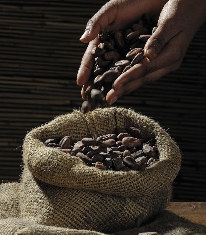 Sac de fève de cacao : Source pexels